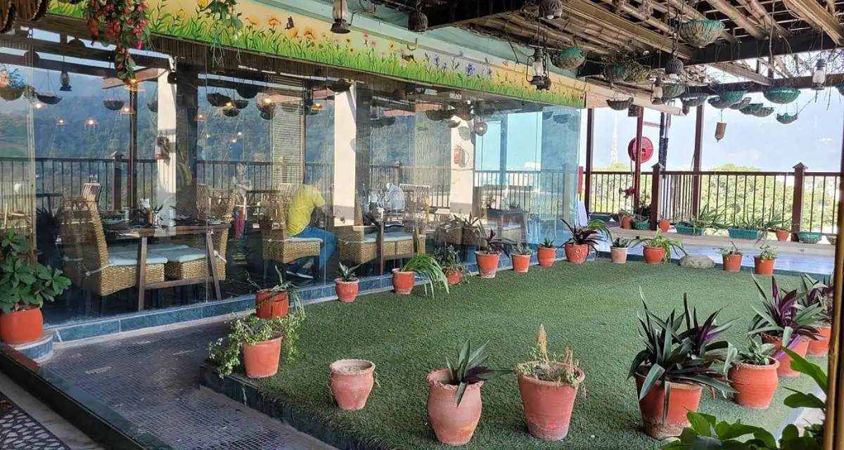 The Sitting Elephant Cafe